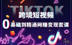 [阿里云盘]【百聚汇】TikTok跨境短视频零基础到精通网赚变现课[免费在线观看][免费下载][夸克网盘][知识教程]