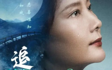 [阿里云盘]追月 (2024) 4K 高码[免费在线观看][免费下载][网盘资源][国产影视]