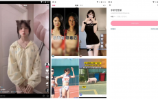 旧版快手APP：无广告版，无任何插件，界面超级简单[免费在线观看][免费下载][网盘资源][安卓软件]