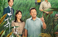 幸福草 (2024) 4k 【全24集】[免费在线观看][免费下载][网盘资源][国产影视]